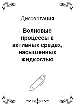 Диссертация: Волновые процессы в активных средах, насыщенных жидкостью