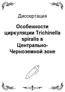 Диссертация: Особенности циркуляции Trichinella spiralis в Центрально-Черноземной зоне России