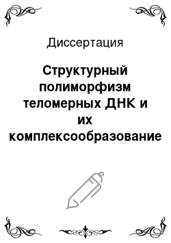 Диссертация: Структурный полиморфизм теломерных ДНК и их комплексообразование с белком PGEk — переносчиком нуклеиновых кислот