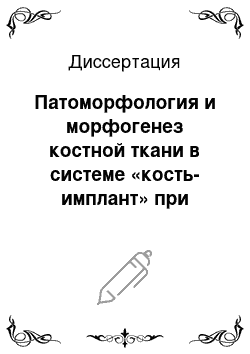 Диссертация: Патоморфология и морфогенез костной ткани в системе «кость-имплант» при применении разных видов наноструктурированых материалов (экспериментальное исследование)