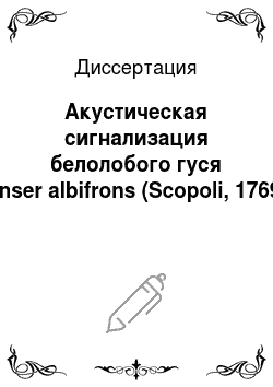 Диссертация: Акустическая сигнализация белолобого гуся Anser albifrons (Scopoli, 1769)