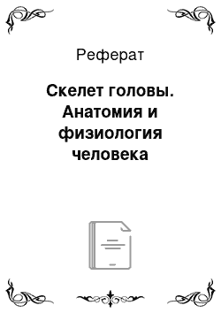 Реферат: Скелет головы. Анатомия и физиология человека