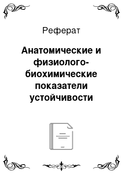 Реферат: Анатомические и физиолого-биохимические показатели устойчивости растений к затоплению