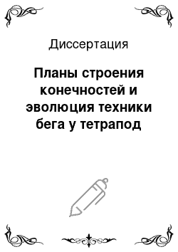 Диссертация: Планы строения конечностей и эволюция техники бега у тетрапод