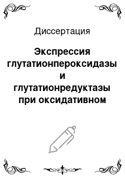 Диссертация: Экспрессия глутатионпероксидазы и глутатионредуктазы при оксидативном стрессе различной этиологии