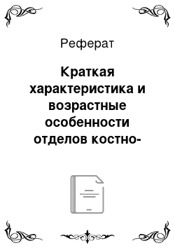 Реферат: Краткая характеристика и возрастные особенности отделов костно-суставной системы