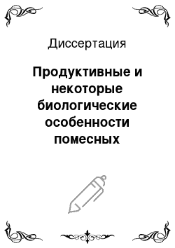 Диссертация: Продуктивные и некоторые биологические особенности помесных манычско-грозненских ярок