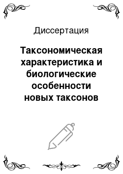 Диссертация: Таксономическая характеристика и биологические особенности новых таксонов морских аэробных гетеротрофных гаммапротеобактерий