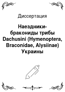 Диссертация: Наездники-бракониды трибы Dachusini (Hymenoptera, Braconidae, Alysiinae) Украины