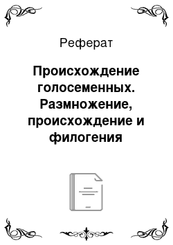 Реферат: Происхождение голосеменных. Размножение, происхождение и филогения голосеменных (Pinophyta)