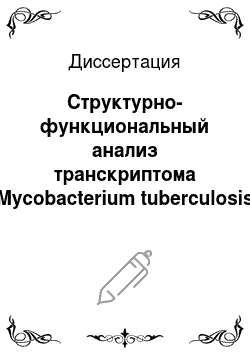 Диссертация: Структурно-функциональный анализ транскриптома Mycobacterium tuberculosis при развитии инфекции in vivo