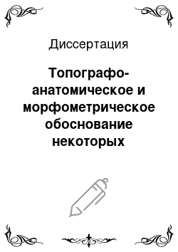 Диссертация: Топографо-анатомическое и морфометрическое обоснование некоторых операций в области пясти, плюсны и пальцев верблюда-бактриана