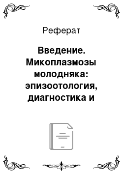 Реферат: Введение. Микоплазмозы молодняка: эпизоотология, диагностика и лечение