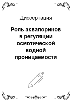 Диссертация: Роль аквапоринов в регуляции осмотической водной проницаемости мембран растительных клеток