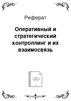 Реферат: Оперативный и стратегический контроллинг и их взаимосвязь