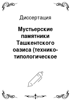 Диссертация: Мустьерские памятники Ташкентского оазиса (технико-типологическое исследование)
