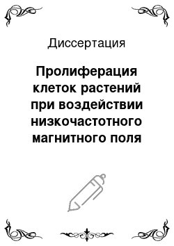 Диссертация: Пролиферация клеток растений при воздействии низкочастотного магнитного поля