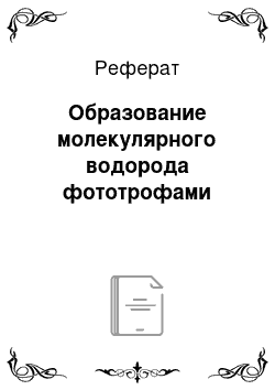 Реферат: Образование молекулярного водорода фототрофами