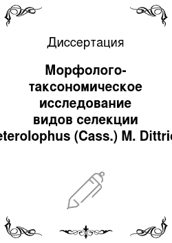 Диссертация: Морфолого-таксономическое исследование видов селекции Heterolophus (Cass.) M. Dittrich и ее место в системе рода Centaurea L. s. l