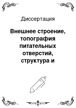 Диссертация: Внешнее строение, топография питательных отверстий, структура и биомеханические свойства костной ткани бедренной кости