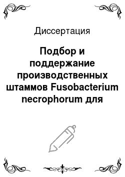 Диссертация: Подбор и поддержание производственных штаммов Fusobacterium necrophorum для промышленного изготовления вакцин
