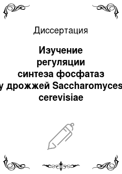 Диссертация: Изучение регуляции синтеза фосфатаз у дрожжей Saccharomyces cerevisiae