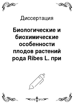 Диссертация: Биологические и биохимические особенности плодов растений рода Ribes L. при интродукции в Белгородской области