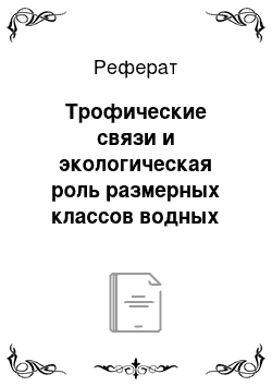 Реферат: Трофические связи и экологическая роль размерных классов водных жесткокрылых подотряда Adephaga (Coleoptera) Северо-Западного Кавказа