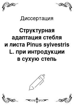 Диссертация: Структурная адаптация стебля и листа Pinus sylvestris L. при интродукции в сухую степь