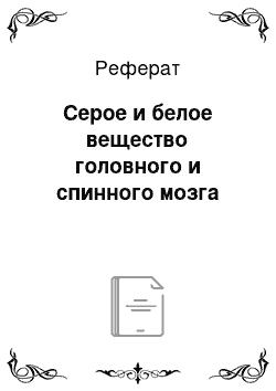 Реферат: Серое и белое вещество головного и спинного мозга