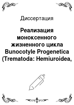 Диссертация: Реализация моноксенного жизненного цикла Bunocotyle Progenetica (Trematoda: Hemiuroidea, Bunocotylinae) в условиях литорали Белого моря