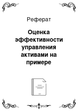 Реферат: Оценка эффективности управления активами на примере