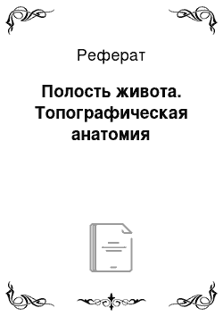 Реферат: Полость живота. Топографическая анатомия