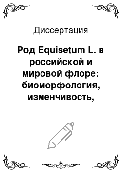 Диссертация: Род Equisetum L. в российской и мировой флоре: биоморфология, изменчивость, таксономия