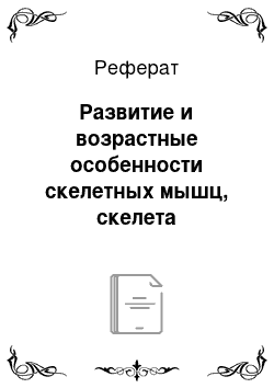 Реферат: Развитие и возрастные особенности скелетных мышц, скелета