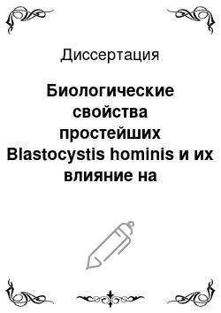 Диссертация: Биологические свойства простейших Blastocystis hominis и их влияние на микроэкологию кишечника