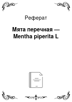 Реферат: Мята перечная — Mentha piperita L