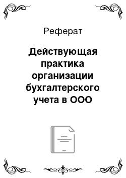 Реферат: Действующая практика организации бухгалтерского учета в ООО «Магнат»