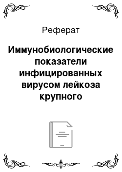 Реферат: Иммунобиологические показатели инфицированных вирусом лейкоза крупного рогатого скота и больных лейкозом коров в сравнении с интактными