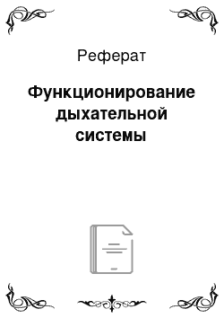 Реферат: Функционирование дыхательной системы