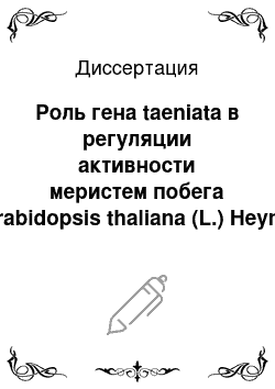 Диссертация: Роль гена taeniata в регуляции активности меристем побега Arabidopsis thaliana (L.) Heynh