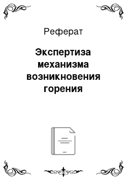 Реферат: Экспертиза механизма возникновения горения