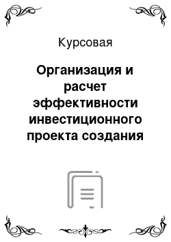 Курсовая: Организация и расчет эффективности инвестиционного проекта создания современного предприятия в области транспорта