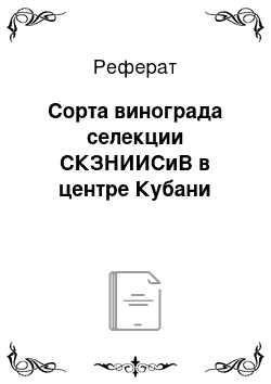 Реферат: Сорта винограда селекции СКЗНИИСиВ в центре Кубани