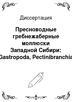 Диссертация: Пресноводные гребнежаберные моллюски Западной Сибири: Gastropoda, Pectinibranchia
