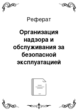 Реферат: Организация надзора и обслуживания за безопасной эксплуатацией подъемников