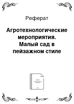 Реферат: Агротехнологические мероприятия. Малый сад в пейзажном стиле