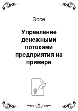 Эссе: Управление денежными потоками предприятия на примере