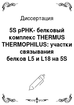 Диссертация: 5S pPHK-белковый комплекс THERMUS THERMOPHILUS: участки связывания белков L5 и L18 на 5S pPHK и пространственная структура комплекса белка L5 со специфическим фрагментом PHK