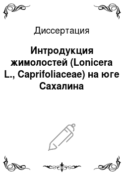 Диссертация: Интродукция жимолостей (Lonicera L., Caprifoliaceae) на юге Сахалина